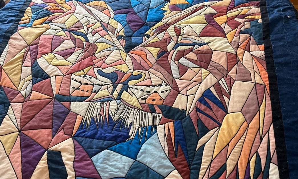 Customer quilt project 19